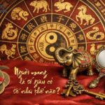 Luận giải Tử Vi: Người mang lá số giàu có sẽ như thế nào?